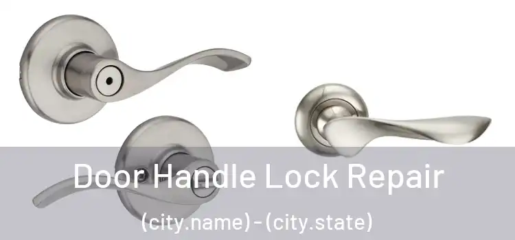 Door Handle Lock Repair (city.name) - (city.state)